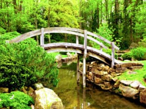 wooden bridge spans running water in a gorgeous green zen garden