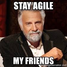 stay agile my friends meme