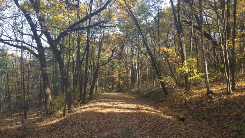 wooded trail on the way to gibraltar rock