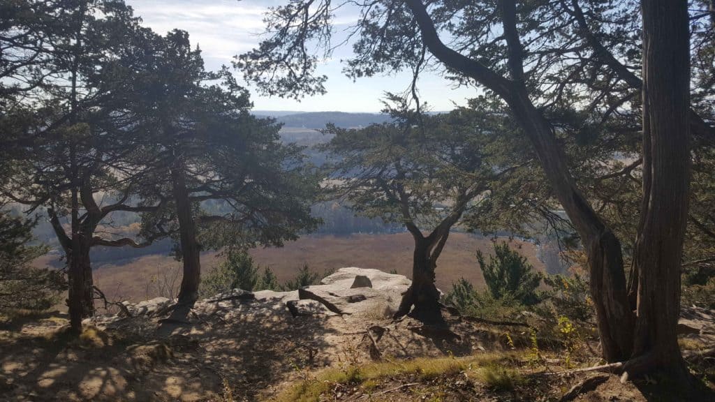 a view of rolling fields from a cliff beyond the trees