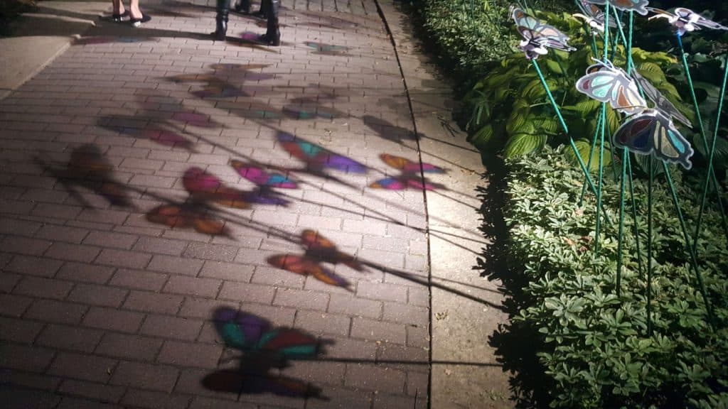 butterfly patterns in light and shadow on sidewalk