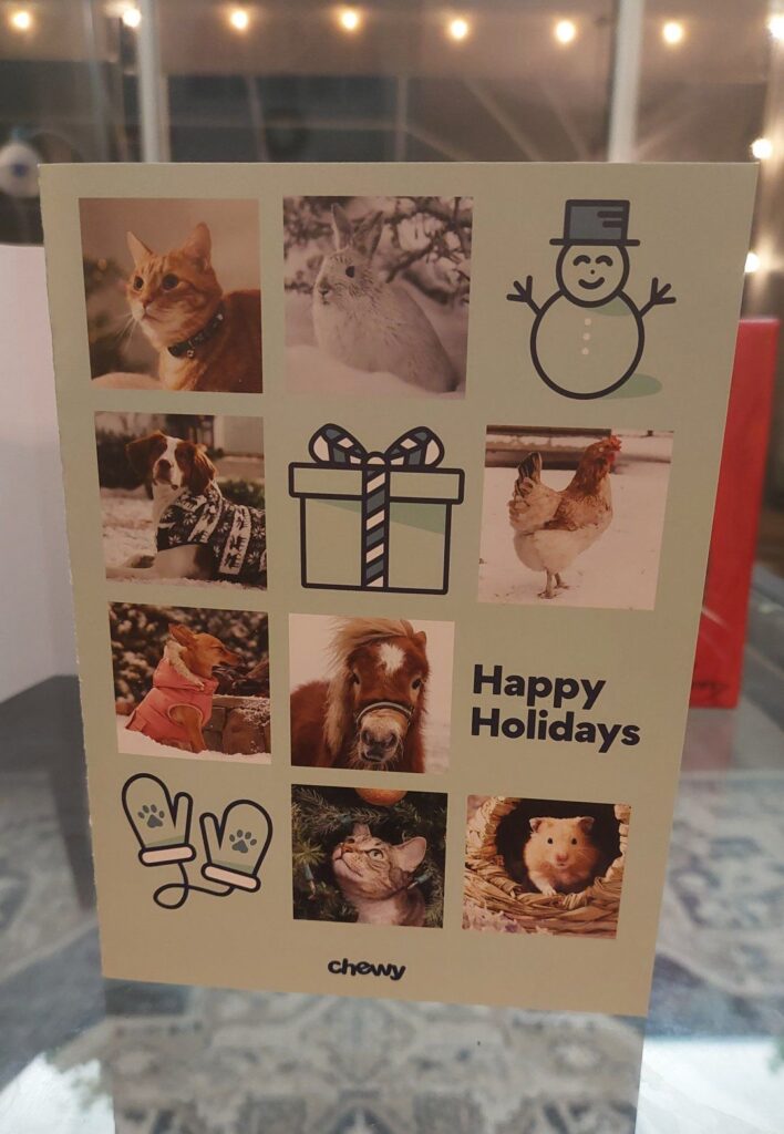 The front of a holiday card we received from online pet products retailer Chewy