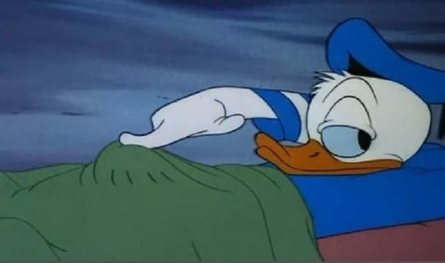 Donald Duck pushes with his finger at what appears to be his erection under a blanket